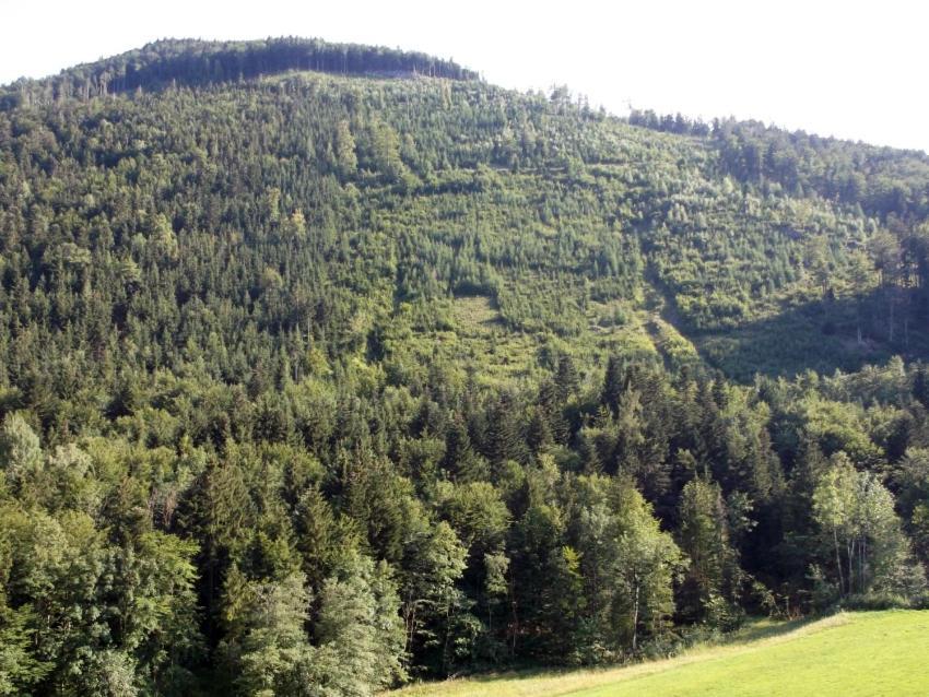 Kleine Einfache Ferienwohnung In Malerischer Umgebung Salzburgs Koppl Buitenkant foto