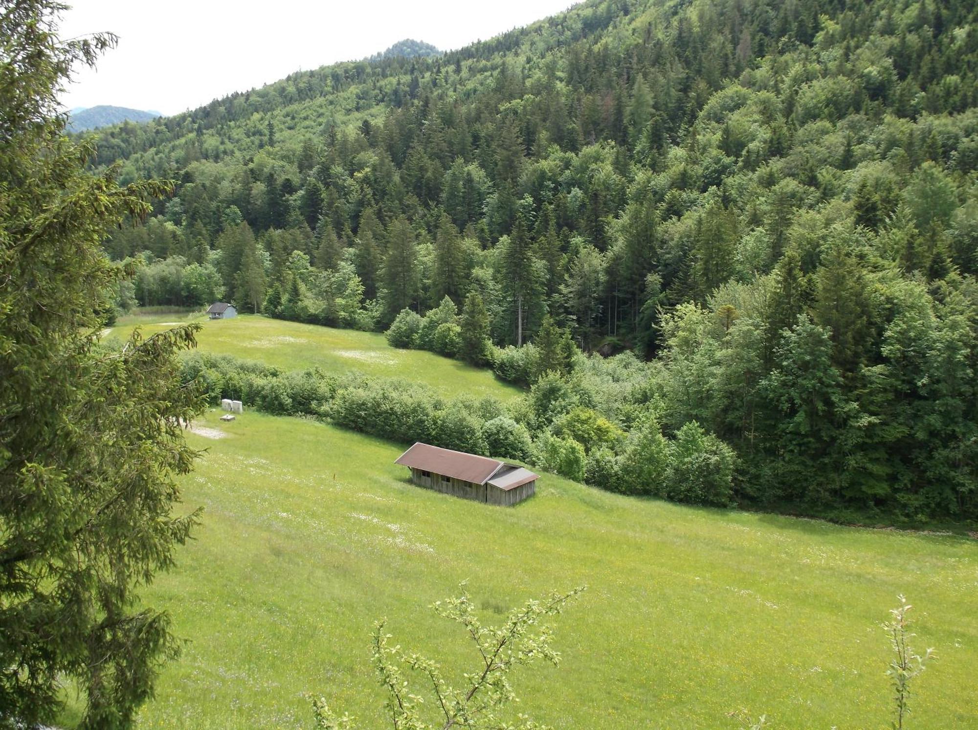 Kleine Einfache Ferienwohnung In Malerischer Umgebung Salzburgs Koppl Buitenkant foto